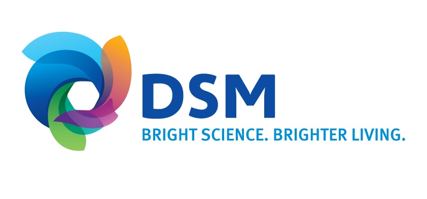 DSM Chemicals company